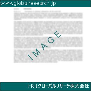 グローバルリサーチ調査資料のイメージ